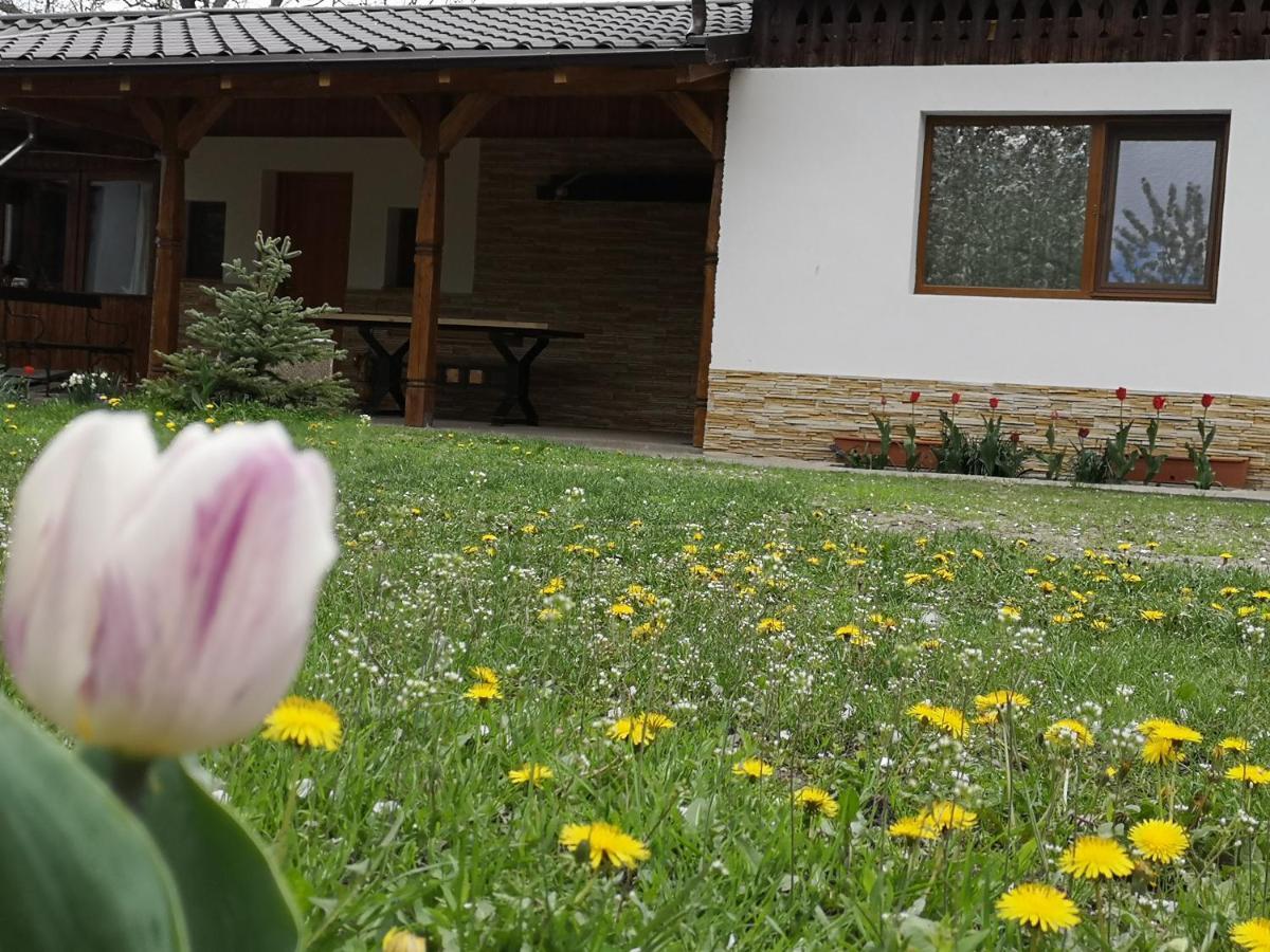 Вилла Casa Livada Bunicii Тыргу-Окна Экстерьер фото
