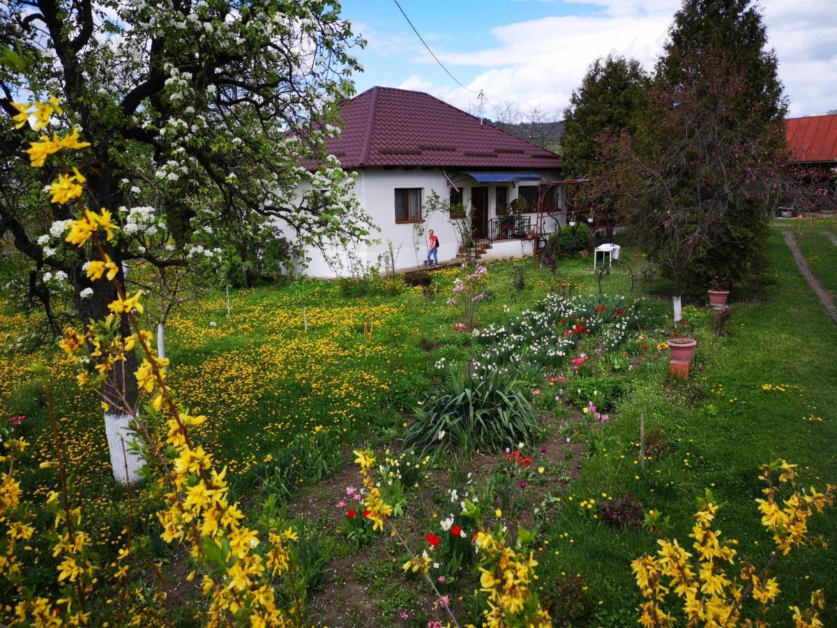 Вилла Casa Livada Bunicii Тыргу-Окна Экстерьер фото