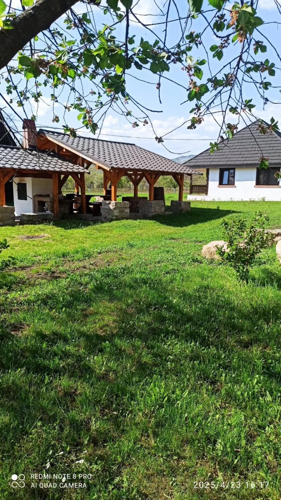 Вилла Casa Livada Bunicii Тыргу-Окна Экстерьер фото