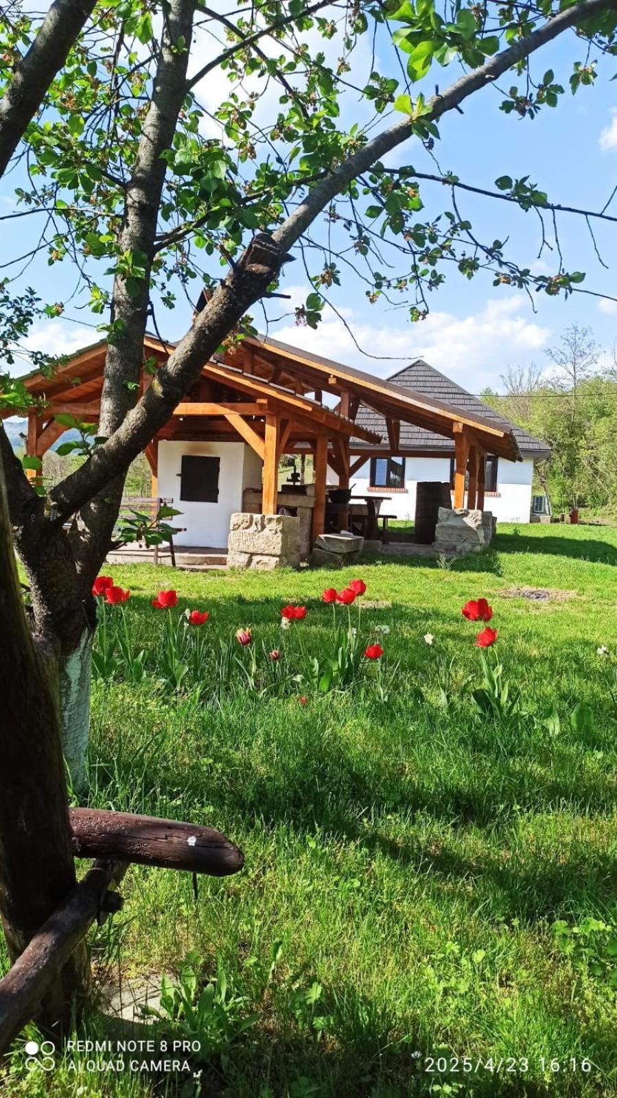 Вилла Casa Livada Bunicii Тыргу-Окна Экстерьер фото